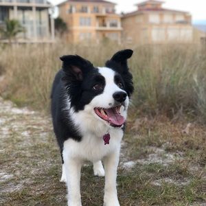 Meet your Posher, Sean